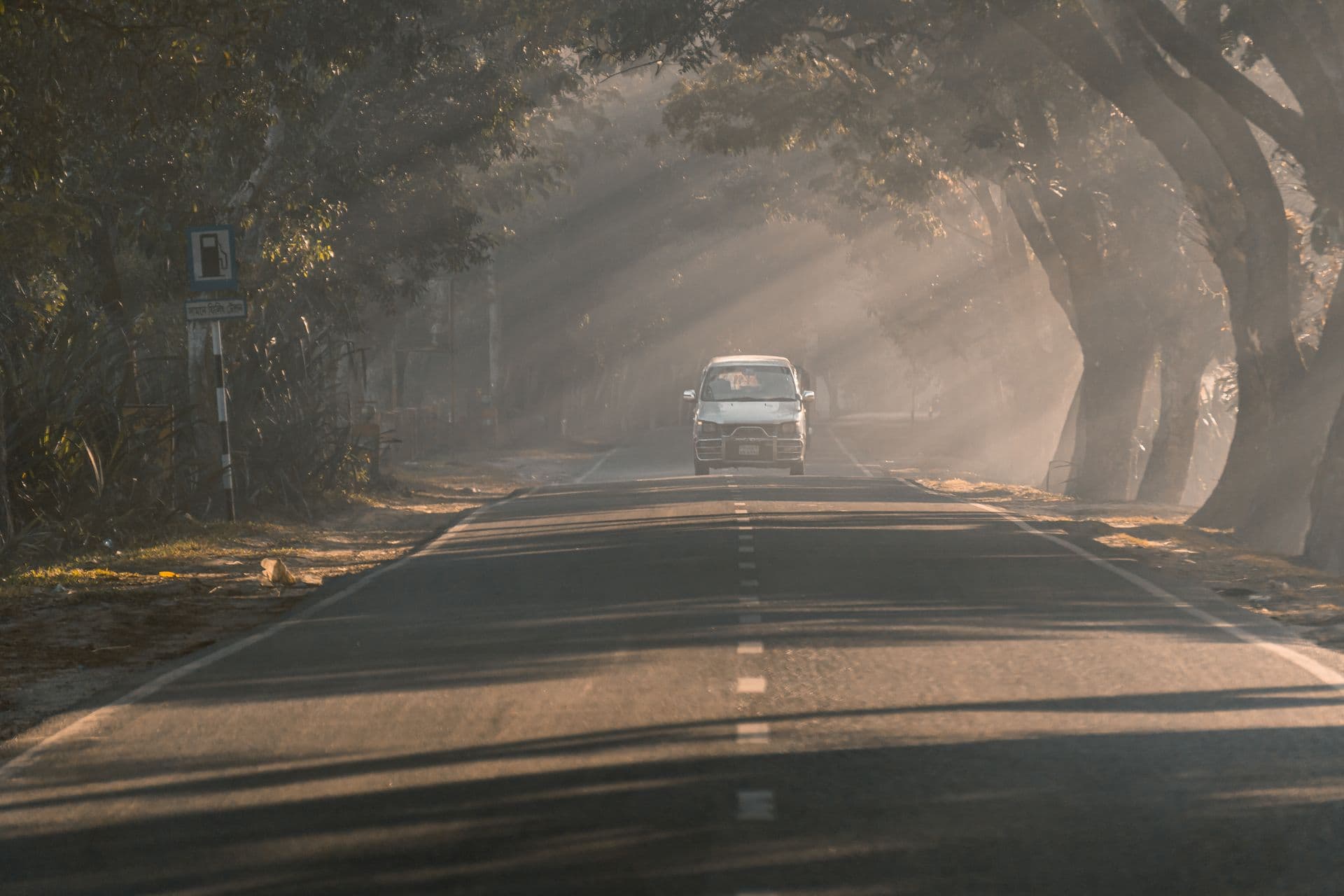 Auto rijdt bij zonsopkomst over een bosweg